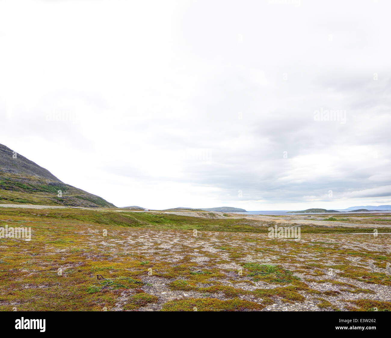 Paysage norvégien du nord avec les fjords, montagnes et sur la rive avec moss Banque D'Images