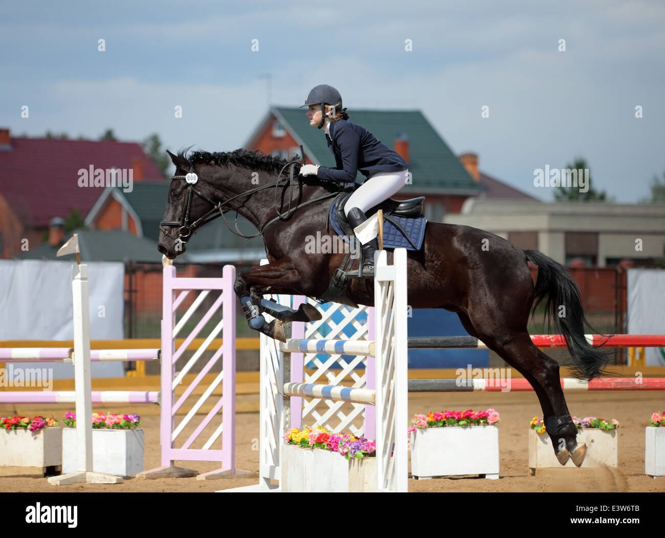 Un cheval de saut en l'air Banque D'Images