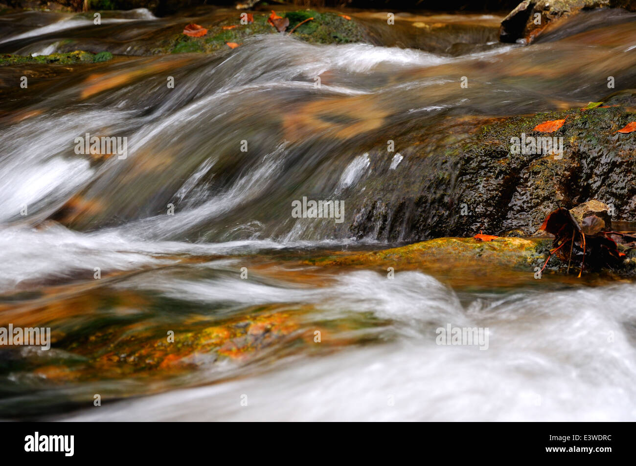 Le ruisseau d'automne dans les montagnes - exposition de l'ampoule Banque D'Images