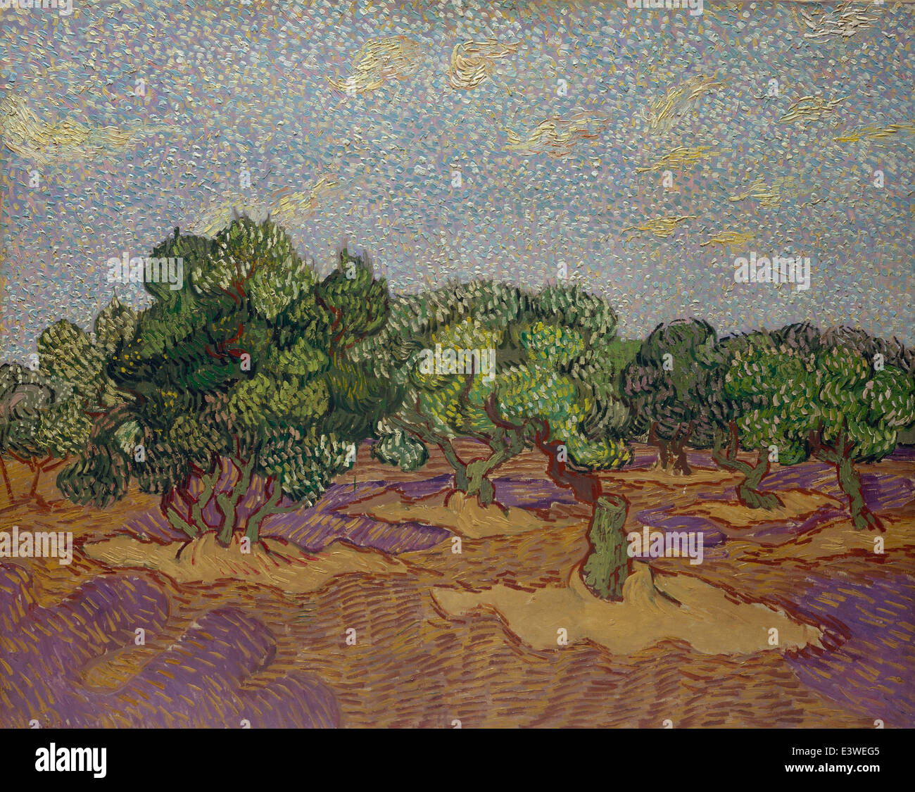 Vincent van Gogh - Oliviers - 1889 - Musée rencontré - New-York Banque D'Images