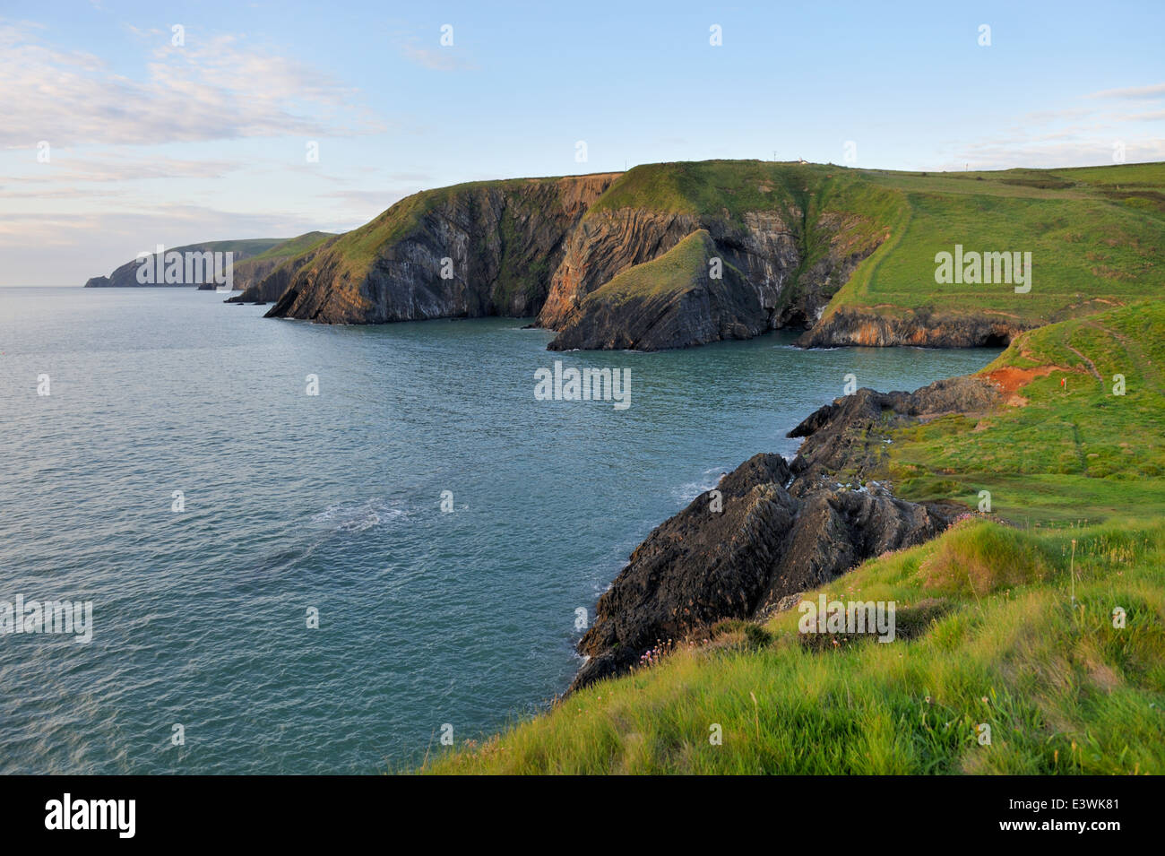 Début de soirée champ vert donnant sur les falaises de la côte du Pembrokeshire, Pays de Galles de l'ouest. Près de la Baie d'Ceibwr Banque D'Images