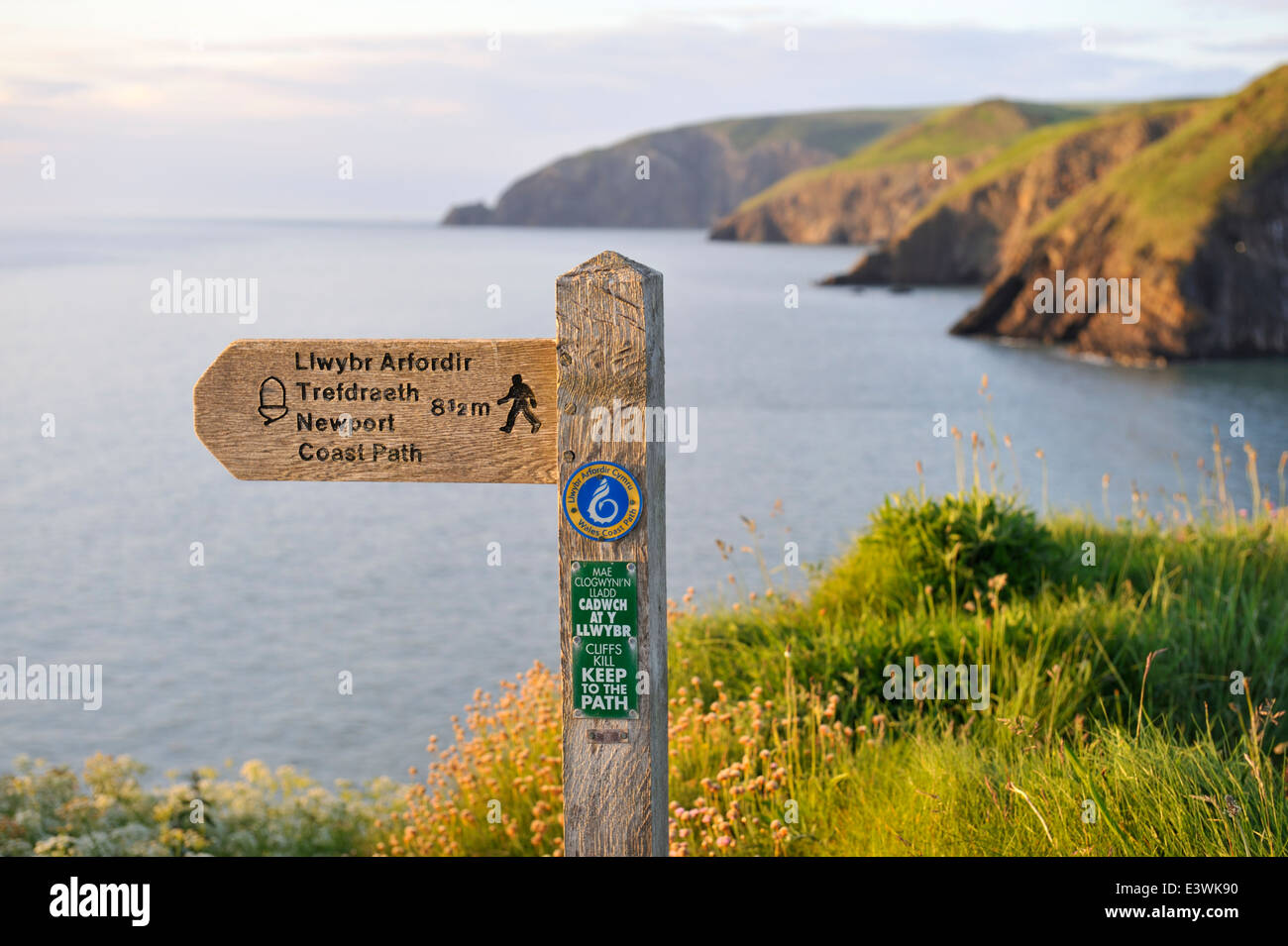 Sentier du littoral pour signer en début de soirée avec vue sur les falaises de la côte du Pembrokeshire, Pays de Galles de l'ouest. Près de la Baie d'Ceibwr Banque D'Images