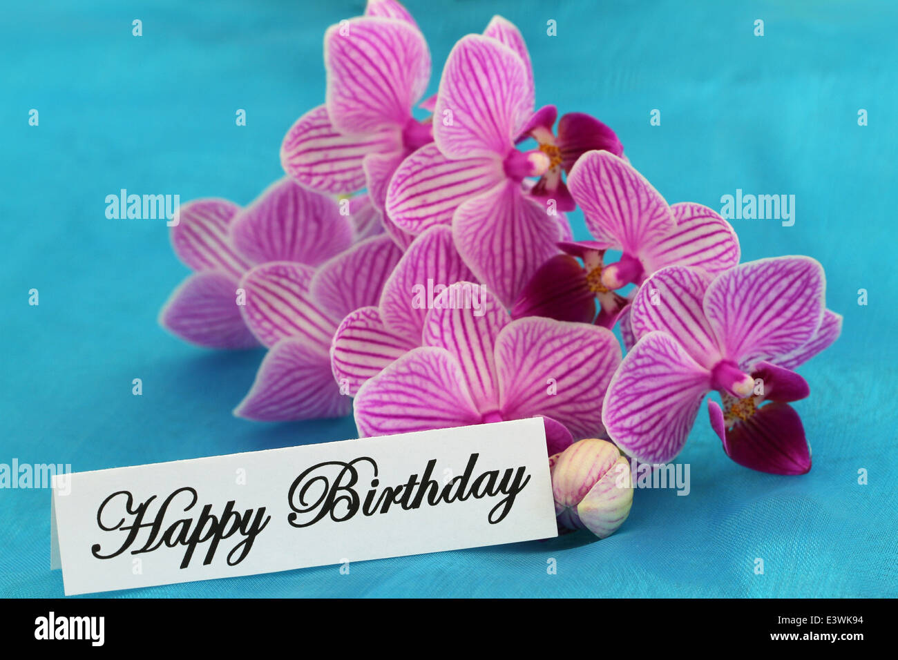 Joyeux Anniversaire Carte Avec Orchidees Rose Photo Stock Alamy Joyeux Anniversaire Carte Avec Orchidees Rose Photo Stock Alamy