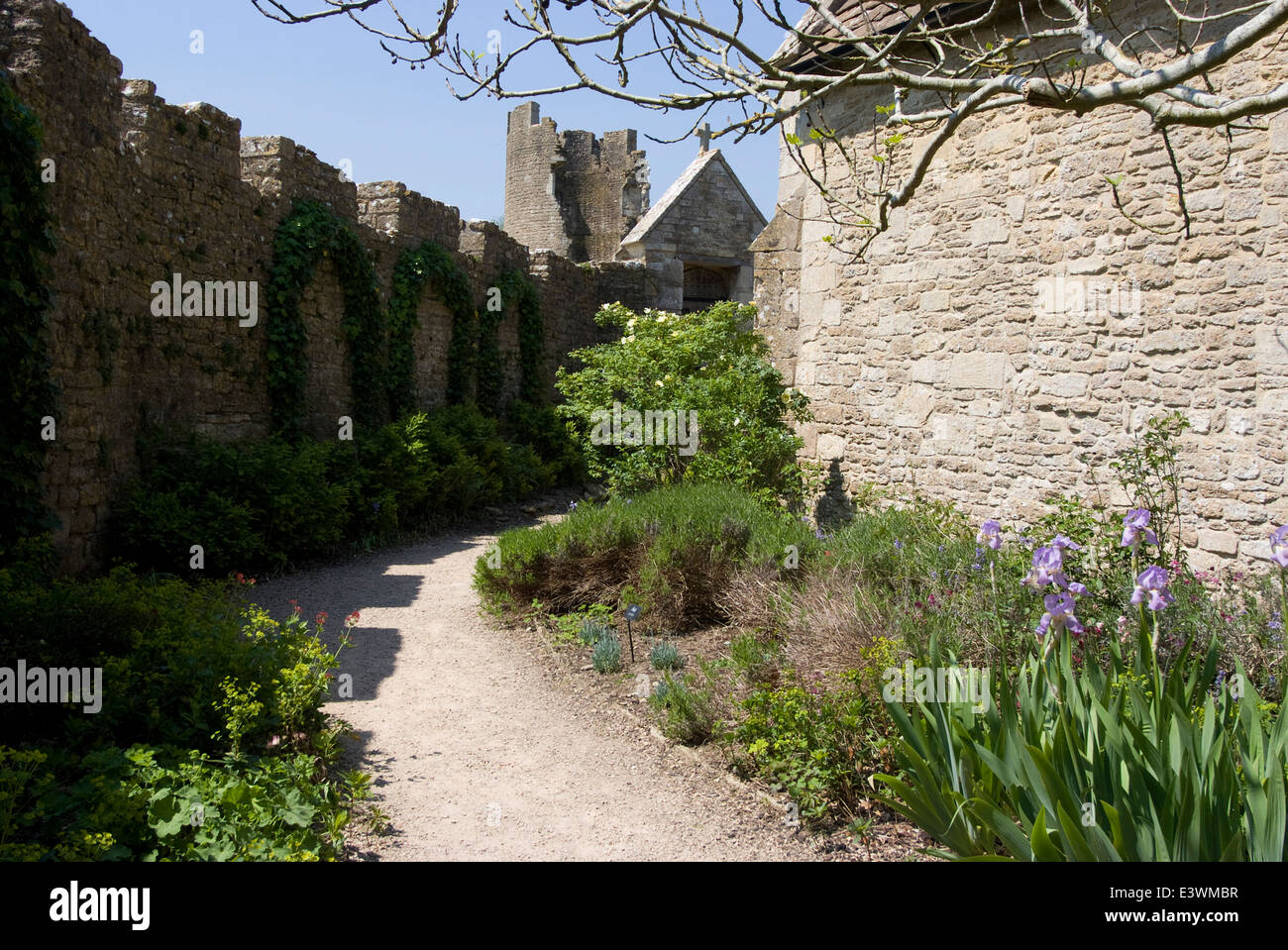 Mur autour de la chapelle du xive siècle Farleigh Hungerford Castle, Somerset, Angleterre Banque D'Images