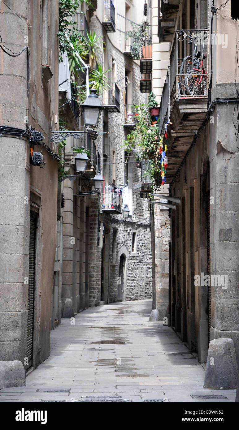 Rue de la vieille ville de Barcelone dans le quartier Gothique Banque D'Images