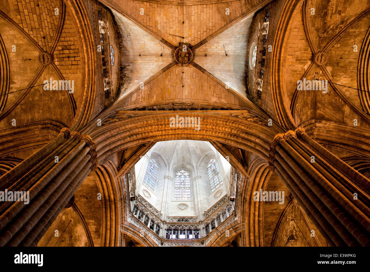 Plafond voûté gothique de la cathédrale de Barcelone (cathédrale de la Sainte Croix et Sainte Eulalia) en Catalogne, Espagne. Banque D'Images