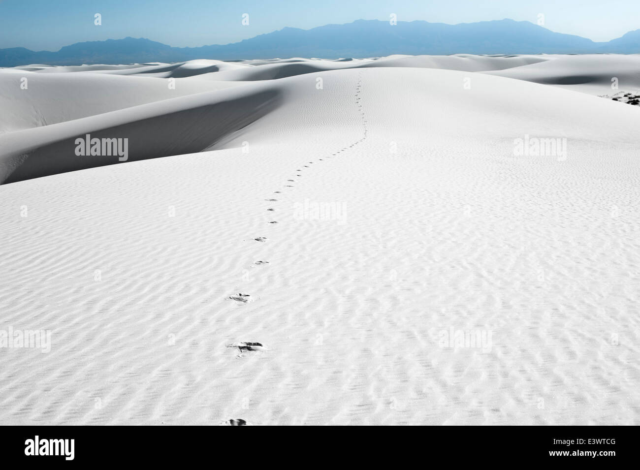 Des empreintes de pas dans la distance ; White Sands, NM Banque D'Images