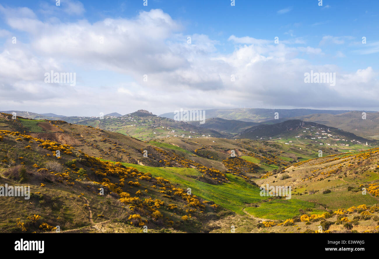 Vue panoramique des montagnes. L'été, Tanger, Maroc Banque D'Images