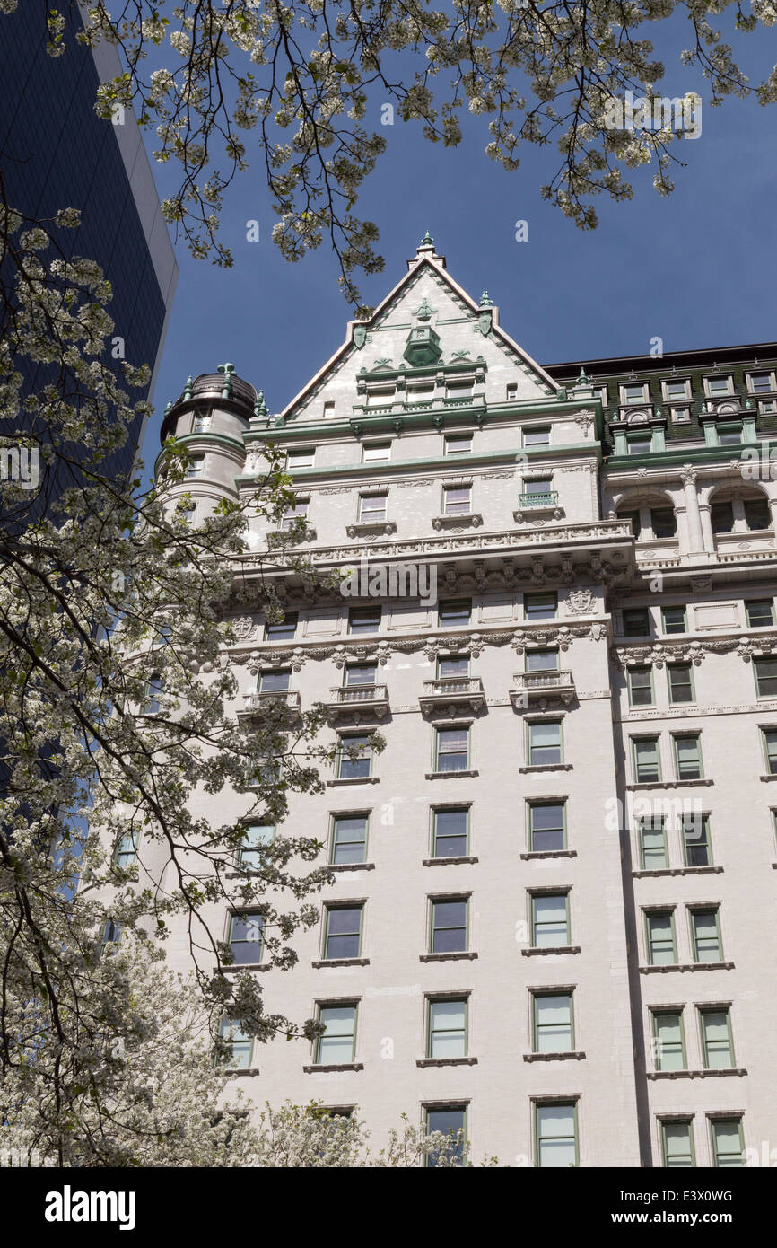 Plaza Hotel, Springtime Blossoms, NYC, USA Banque D'Images