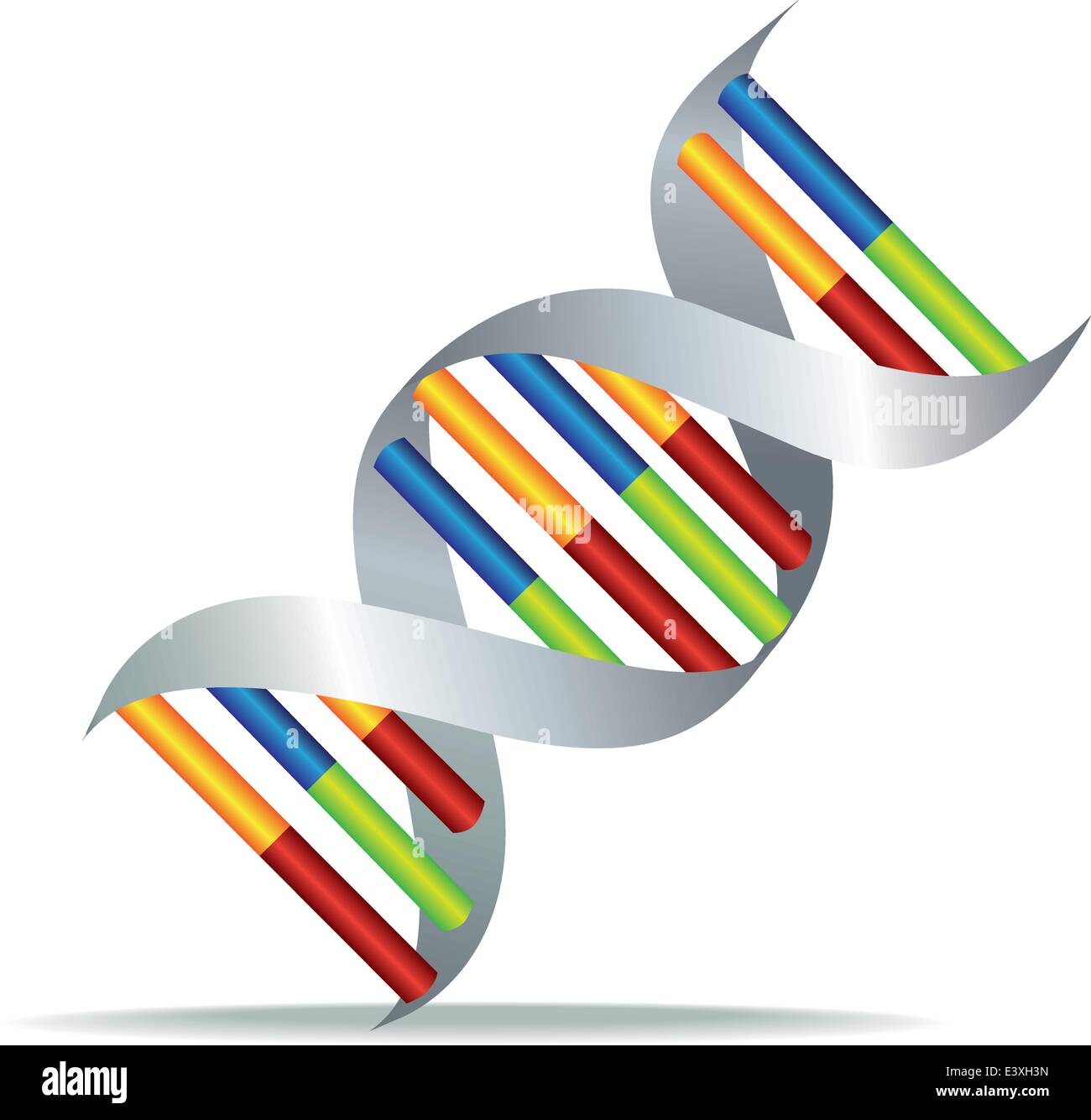 Illustration couleur d'une cellule d'ADN humain Illustration de Vecteur