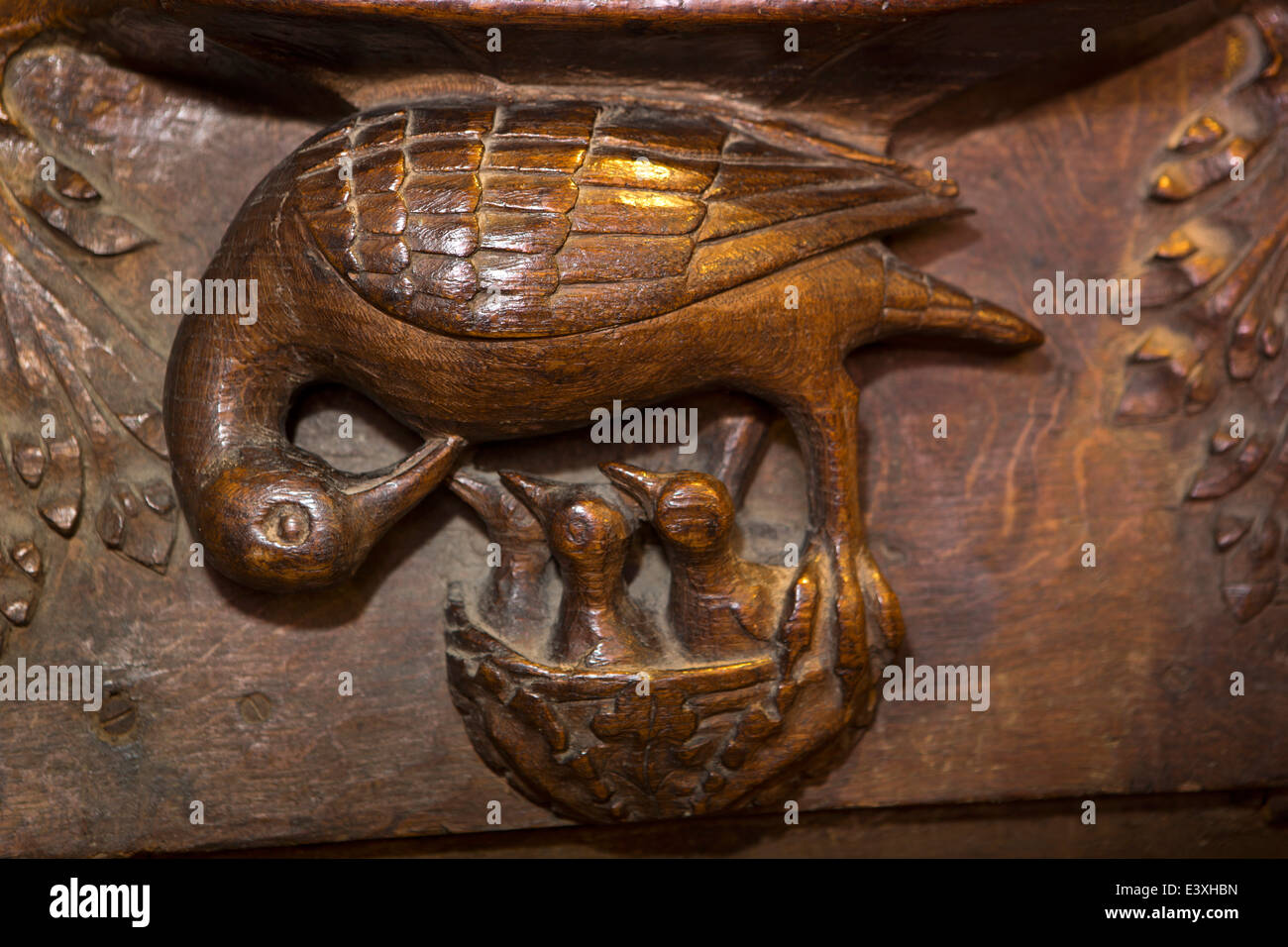 Royaume-uni l'Angleterre, dans le Suffolk, Lavenham, église paroissiale, la piété dans son pélican sculpture misericord Banque D'Images