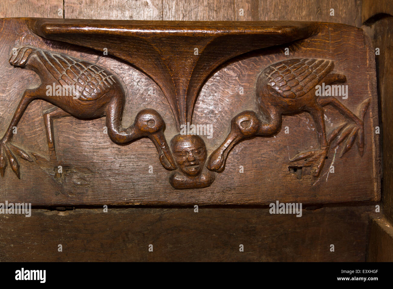 Royaume-uni l'Angleterre, dans le Suffolk, Lavenham, Église Paroissiale, l'homme avec les oreilles tenue par les oiseaux misericord Banque D'Images