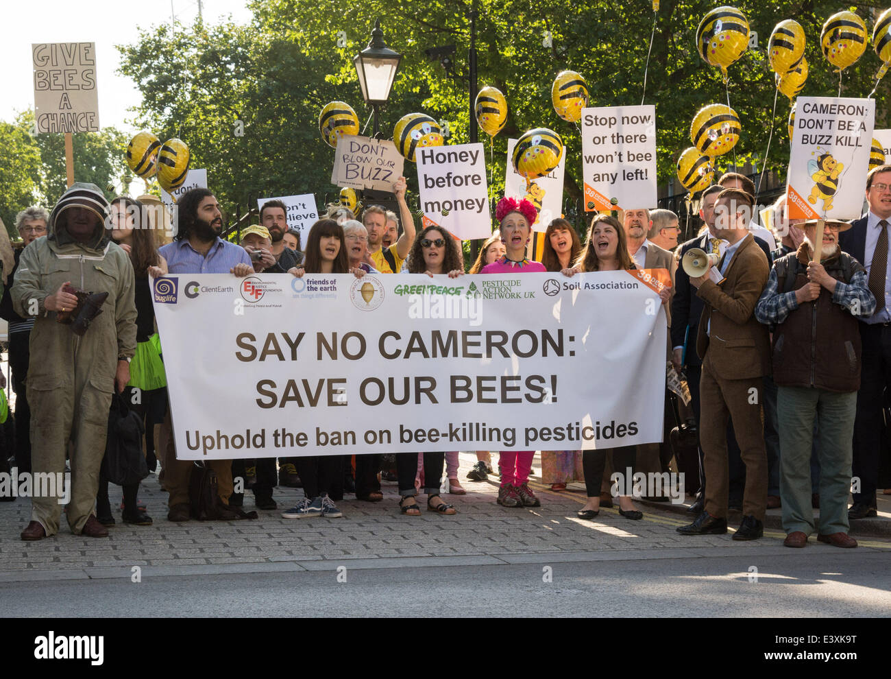 Whitehall, Londres, Royaume-Uni. 1er juillet 2014. Fashion Designer Katharine Hamnett (holding banner, vêtu de rose) se joint à une manifestation en face de Downing Street avant que le Cabinet décide si des pesticides néonicotinoïdes pour permettre d'être utilisé sur les cultures au Royaume-Uni. Pesticides néonicotinoïdes sont interdits en Europe à cause du danger pour les abeilles, qui sont d'importants pollinisateurs des cultures vivrières. Ils ont été associés à un certain nombre d'effets écologiques néfastes, y compris le miel-bee colony collapse disorder : Crédit Patricia Phillips/Alamy Live News Banque D'Images