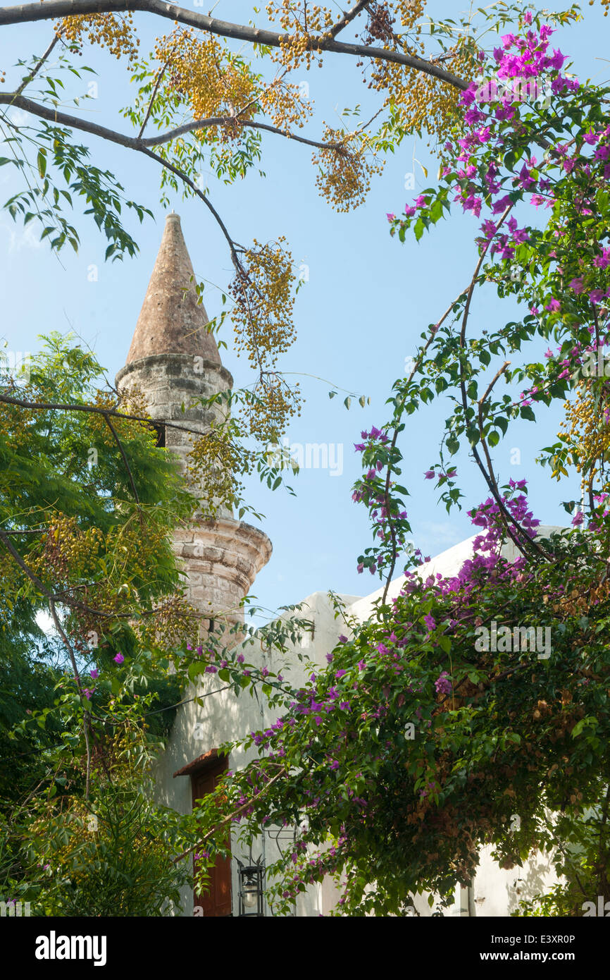 Spanien, Rhodos-Stadt, Altstadt, Platia Athina, Agios Spiridion (Kavakli-Moschee) Banque D'Images