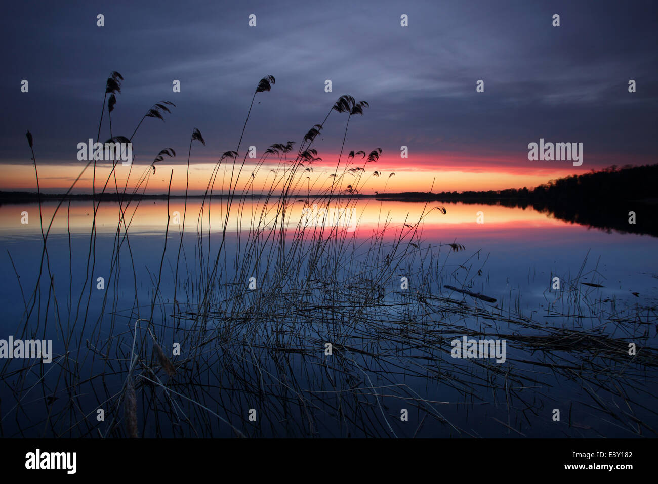 Saadjärv Lac au coucher du soleil. L'Estonie, Europe Banque D'Images
