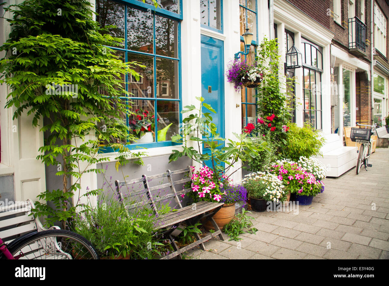 Une façade colorée floraison jardin avec un banc dans le quartier Jordaan à Amsterdam Banque D'Images
