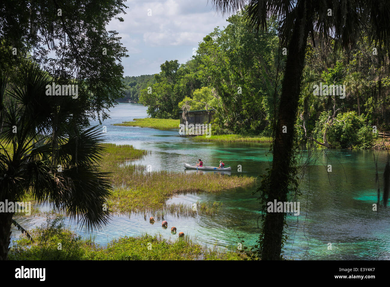 Rainbow Springs State Park est la source de la rivière Arc-en-ciel dans le centre-nord de la Floride. Banque D'Images
