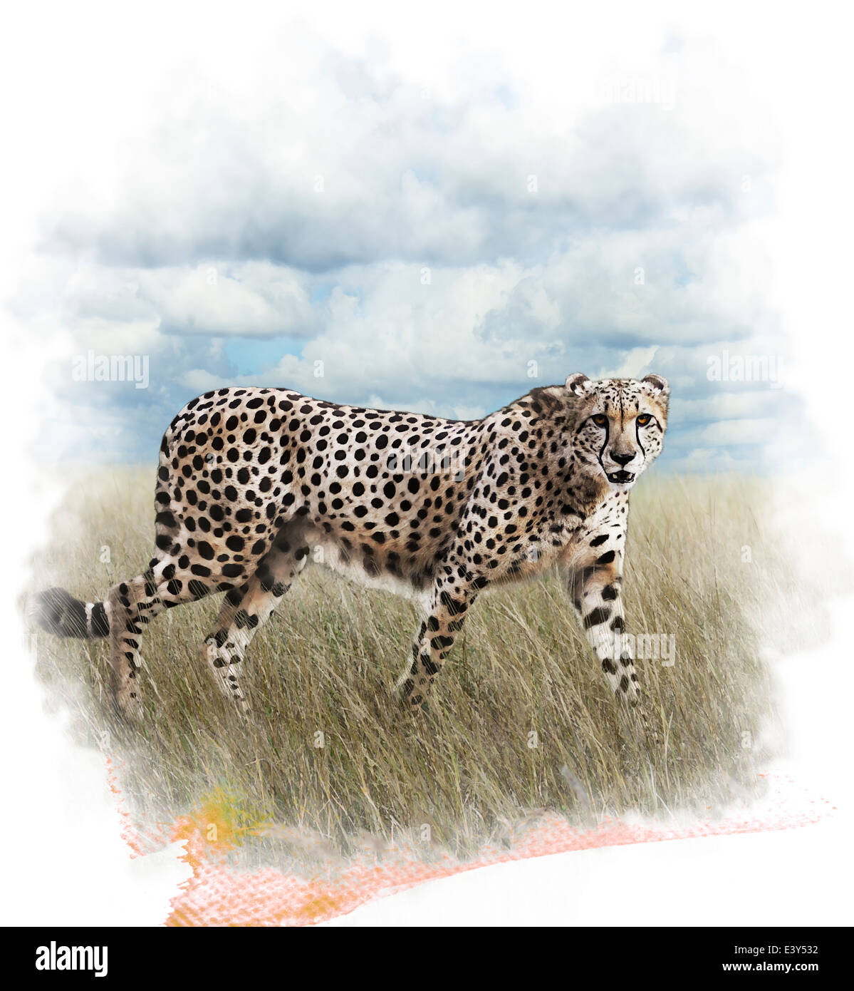 Aquarelle peinture digitale de Walking Cheetah Banque D'Images