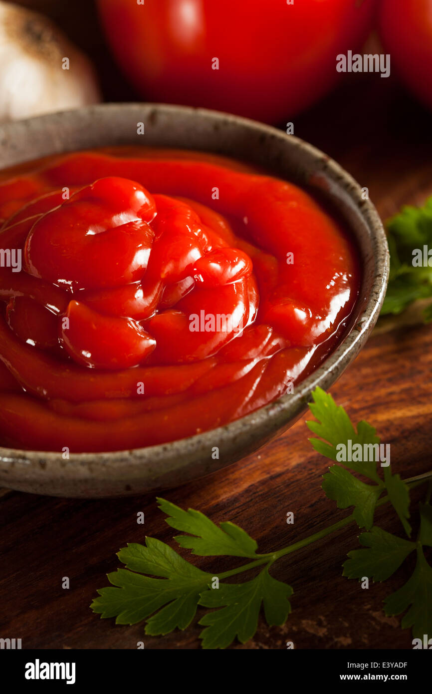 Red Ketchup biologique dans un bol Banque D'Images