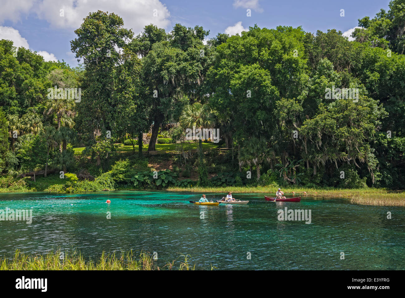 Rainbow Springs State Park est la source de la rivière Arc-en-ciel dans le centre-nord de la Floride. Banque D'Images