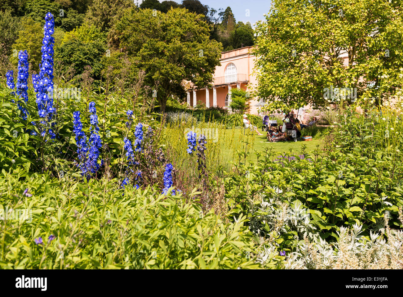 L'est du Devon, Angleterre. Une maison de campagne avec scène jardin Delphiniums bleus au premier plan et un groupe de gens assis à l'ombre Banque D'Images