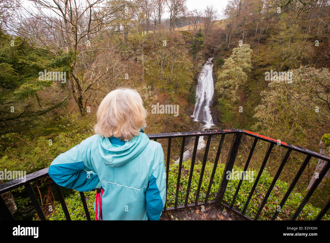 Une femme sur un point de vue au-dessus des chutes d'Acharn sur le côté du Loch Tay, Ecosse, Royaume-Uni. Banque D'Images