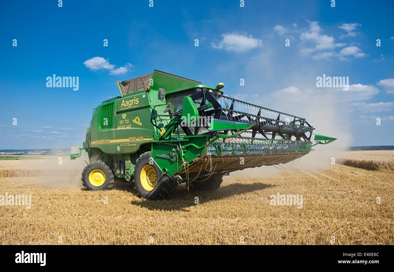 Moissonneuse batteuse travaillant sur champ de maïs Banque D'Images