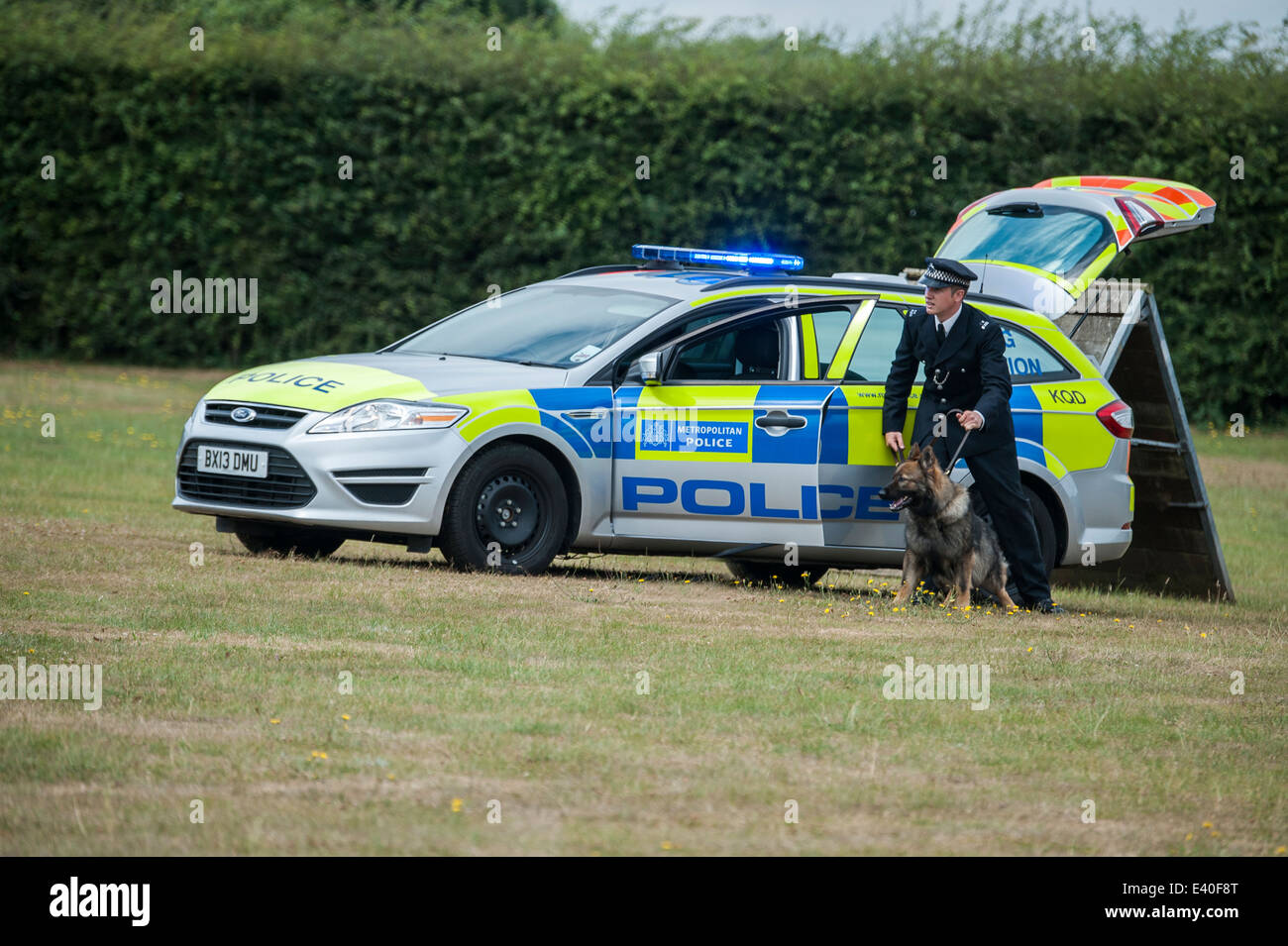 Une Ford Mondeo Section cynophile véhicule avec conducteur de chien à l'établissement de formation de chien de police, Keston, Kent, Angleterre, Royaume-Uni Banque D'Images