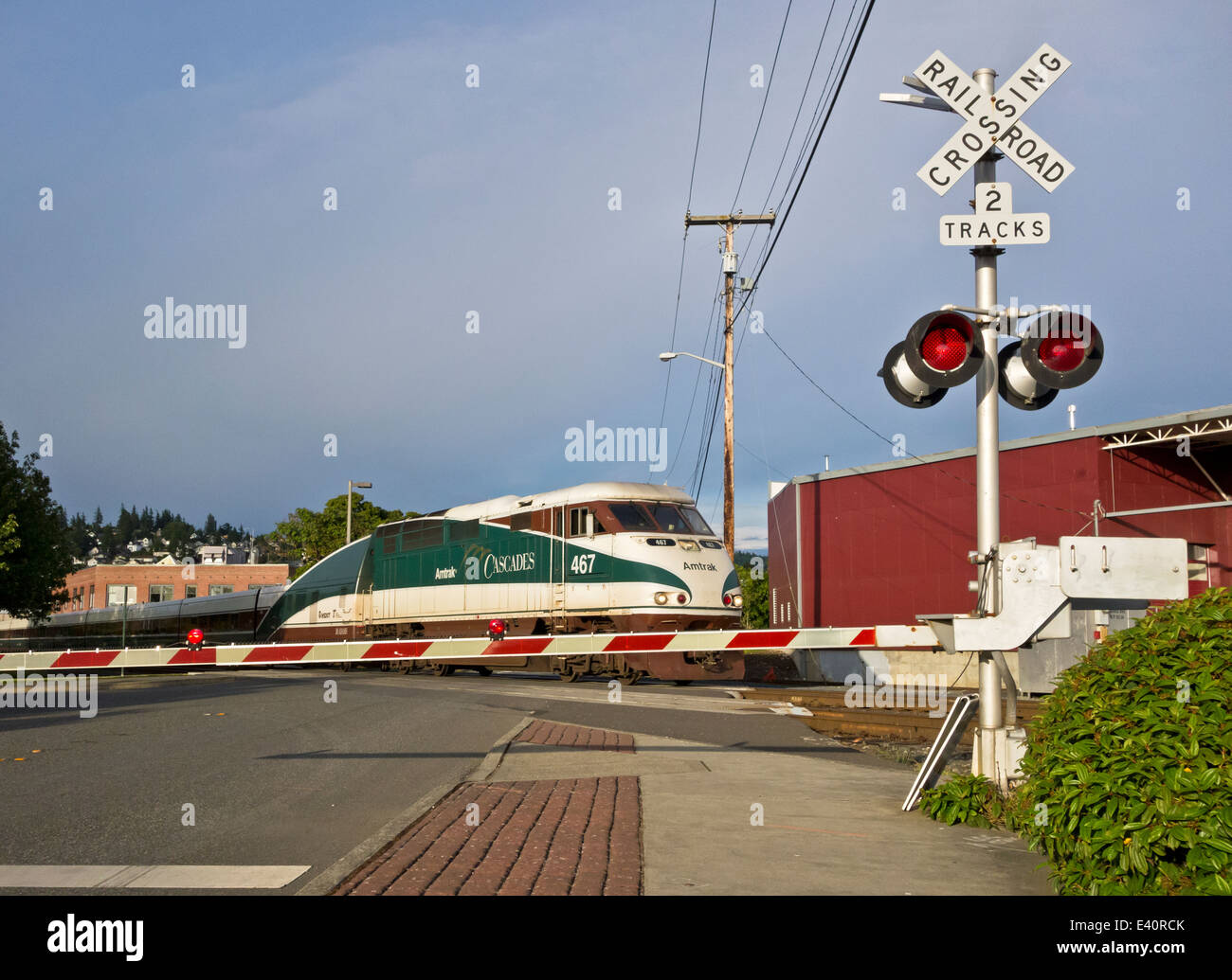 Cascades d'Amtrak Train de voyageurs à un passage à niveau près de Fairhaven Washington. Banque D'Images