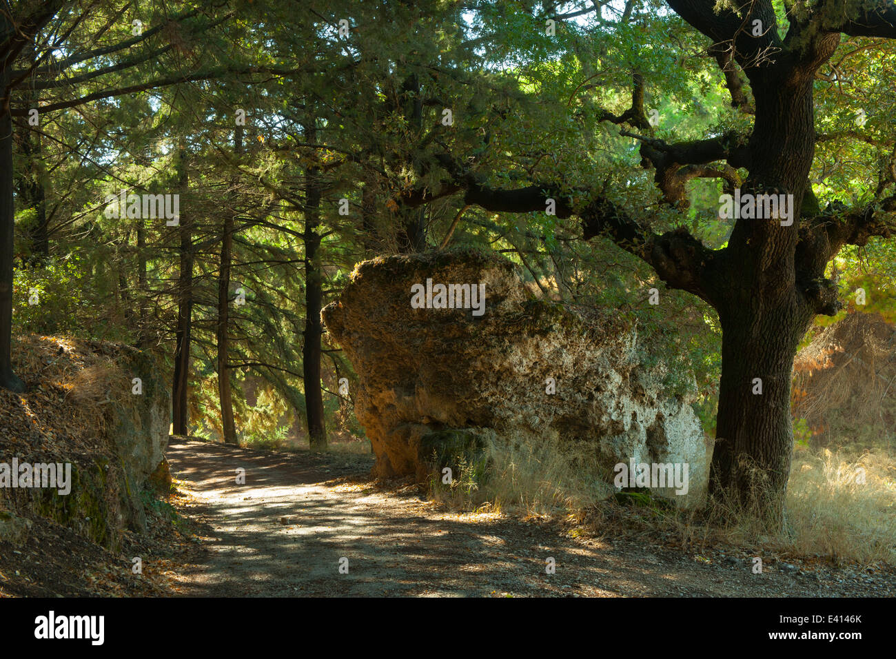 Spanien, Rhodos, Rodini-Park Banque D'Images