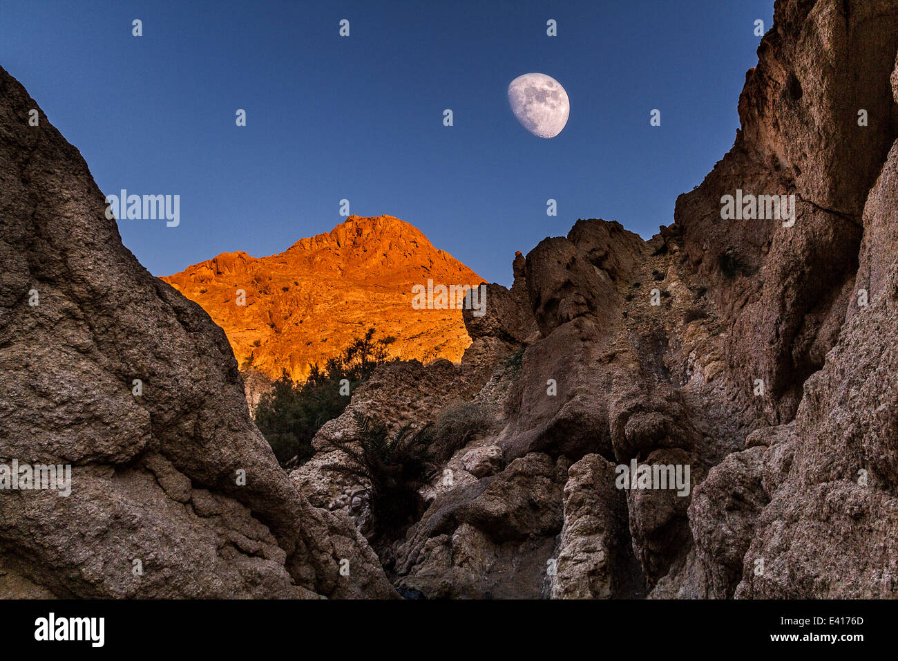 Lune dans un oasis de montagne Banque D'Images