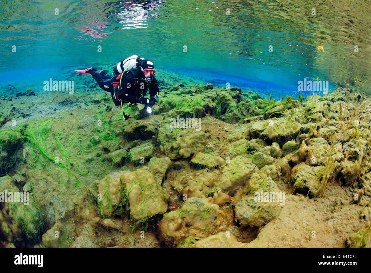 La plongée dans le lagon avec Crack Silfra S.p.a., Island, le parc national de Thingvellir, Silfra S.p.a., Islande Banque D'Images