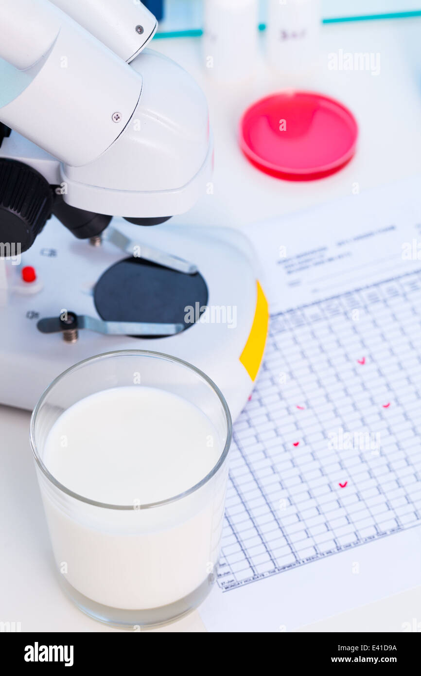 Contrôle de la quantité de lactose dans le lait Banque D'Images