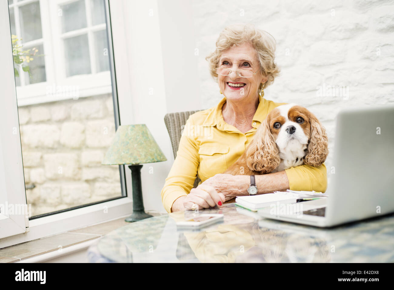 Senior woman with dog, using laptop Banque D'Images