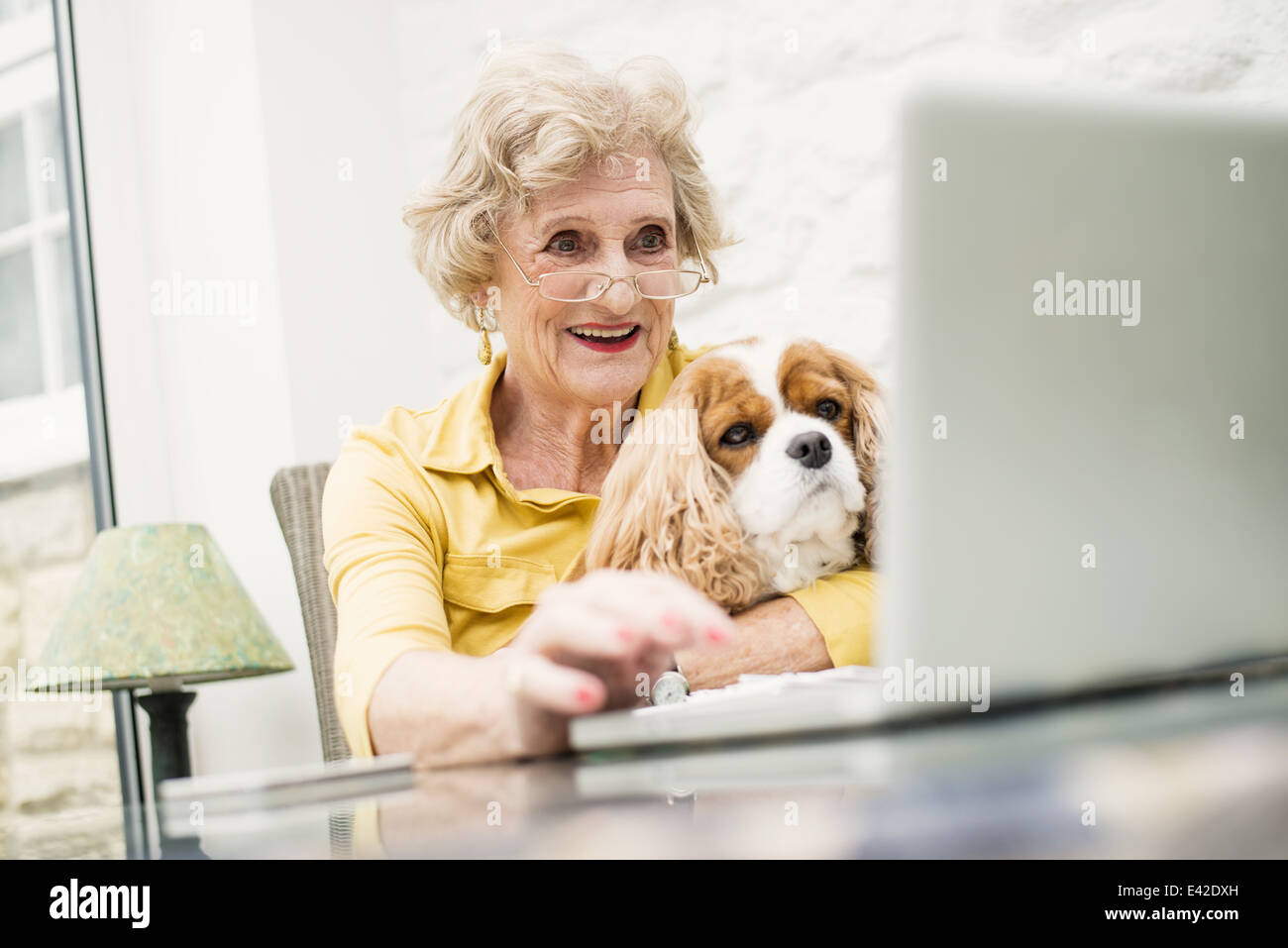Senior woman with dog, using laptop Banque D'Images