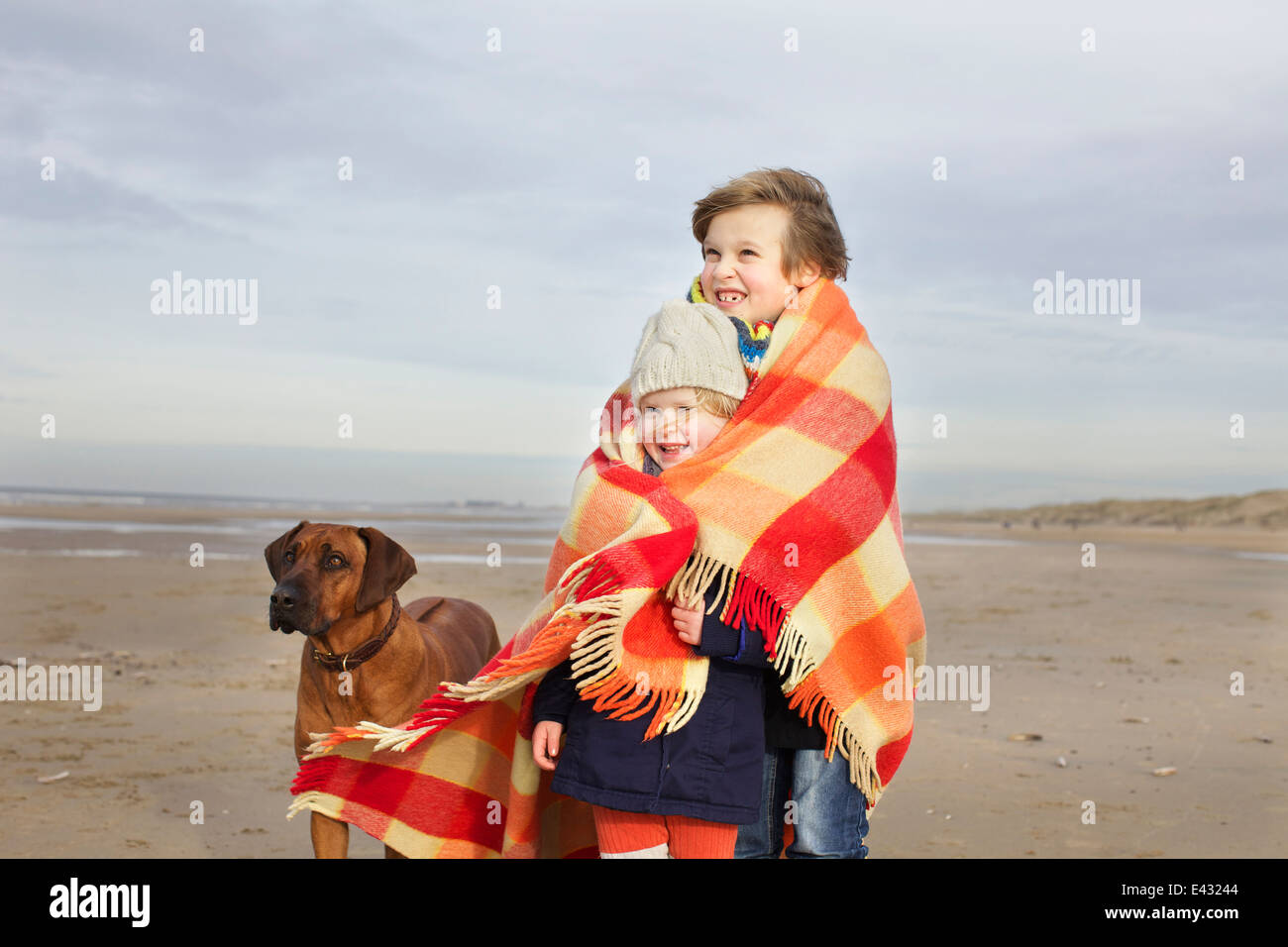Portrait de fillette de trois ans et son frère enveloppé dans couverture sur plage, Bloemendaal aan Zee, Pays-Bas Banque D'Images