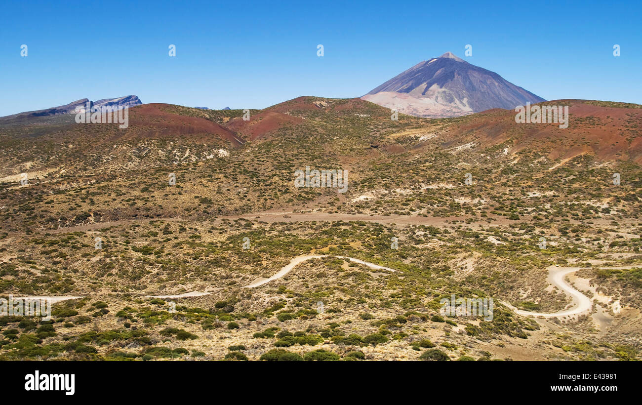 Paysage aride dans le Parc National du Teide, Tenerife, Canaries. Banque D'Images