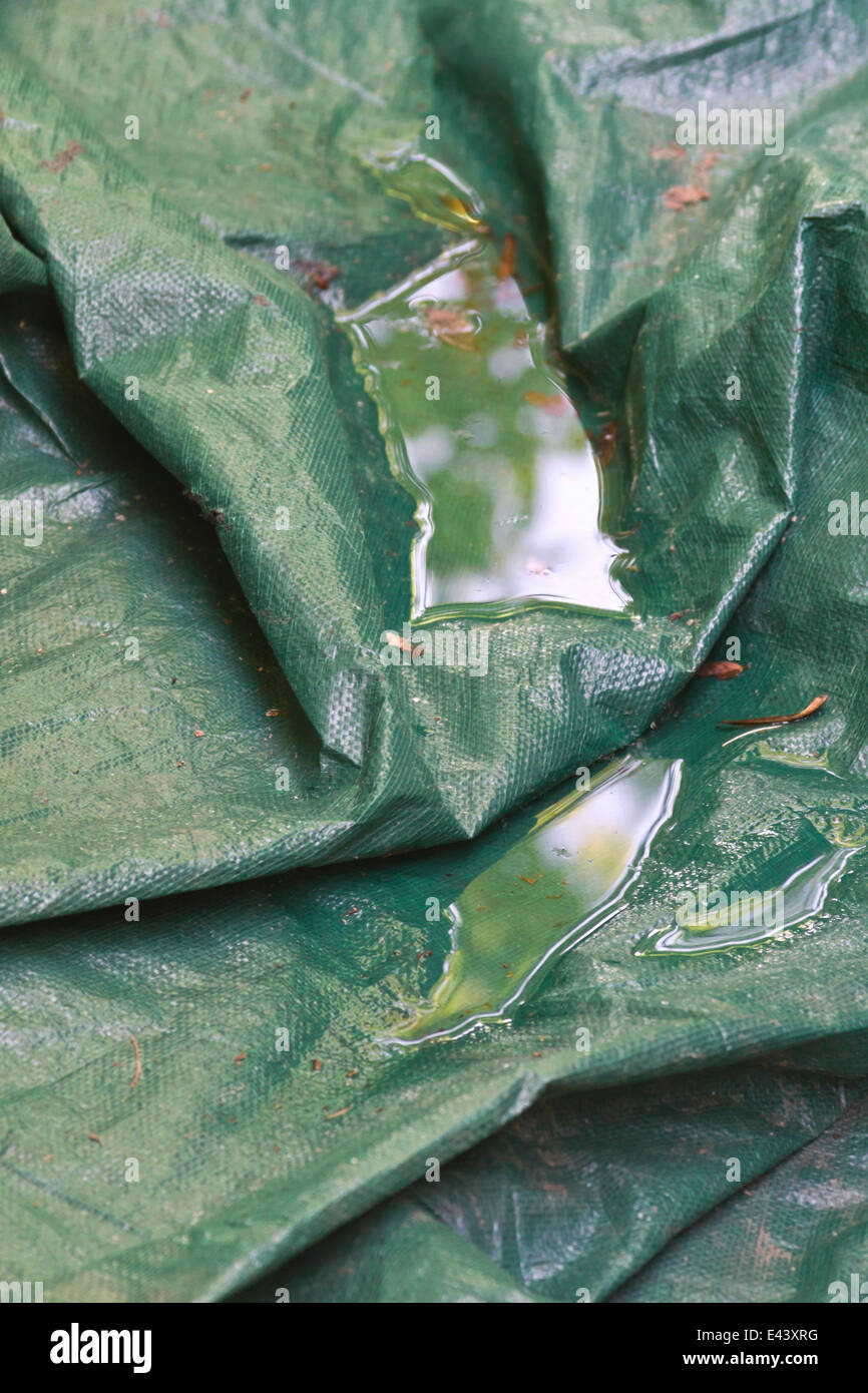 L'eau de pluie s'accumule dans une bâche en plastique créer un habitat idéal pour les moustiques pour pondre leurs oeufs Banque D'Images