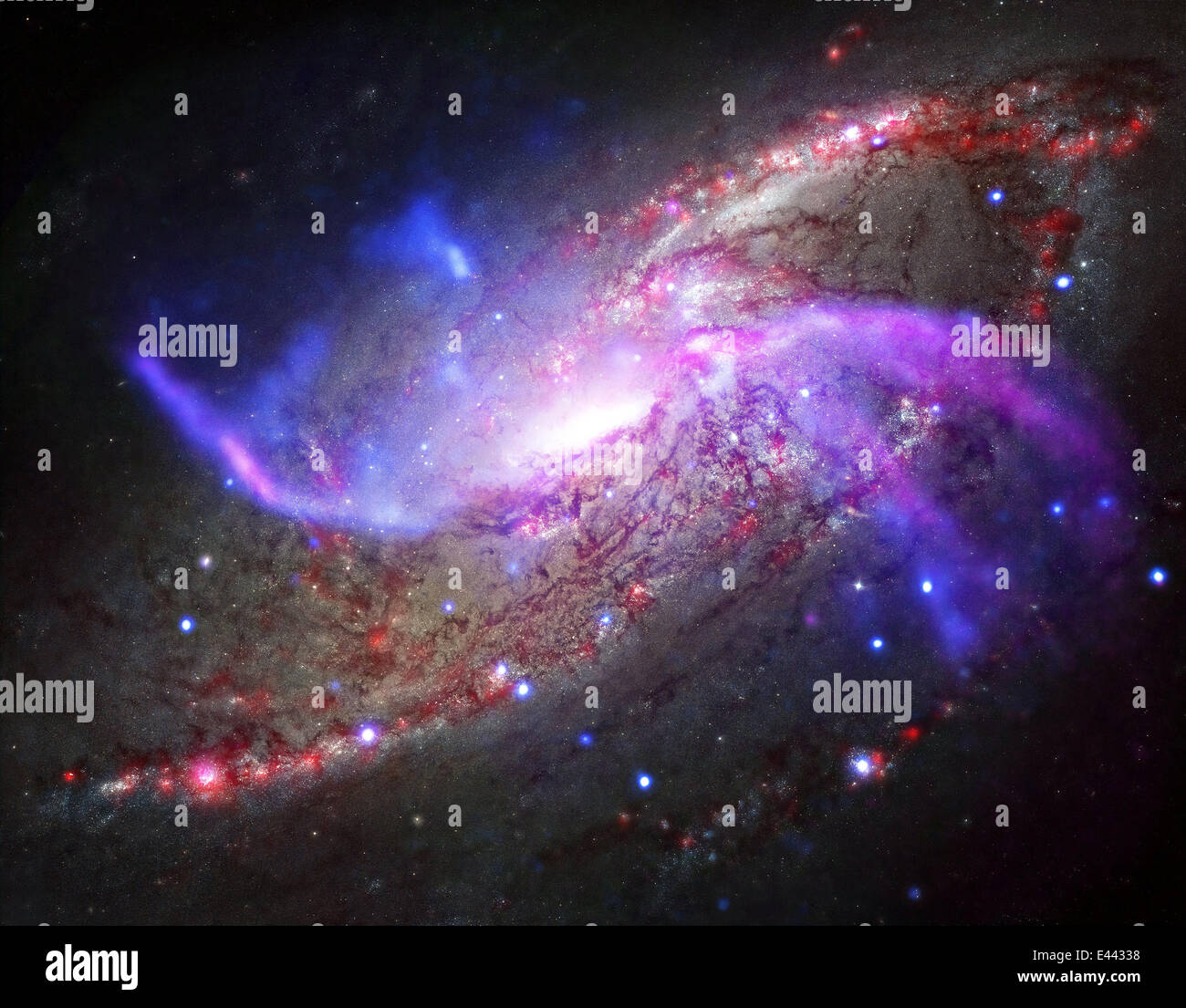 Un feu d'artifice galactique dans NGC 4258, également connu sous le nom de M106, une galaxie spirale comme notre Voie Lactée impliquant un trou noir géant, ondes de choc et de vastes réservoirs de gaz capturés par l'espace Chandra X-Ray Telescope 2 juillet 2014. Banque D'Images