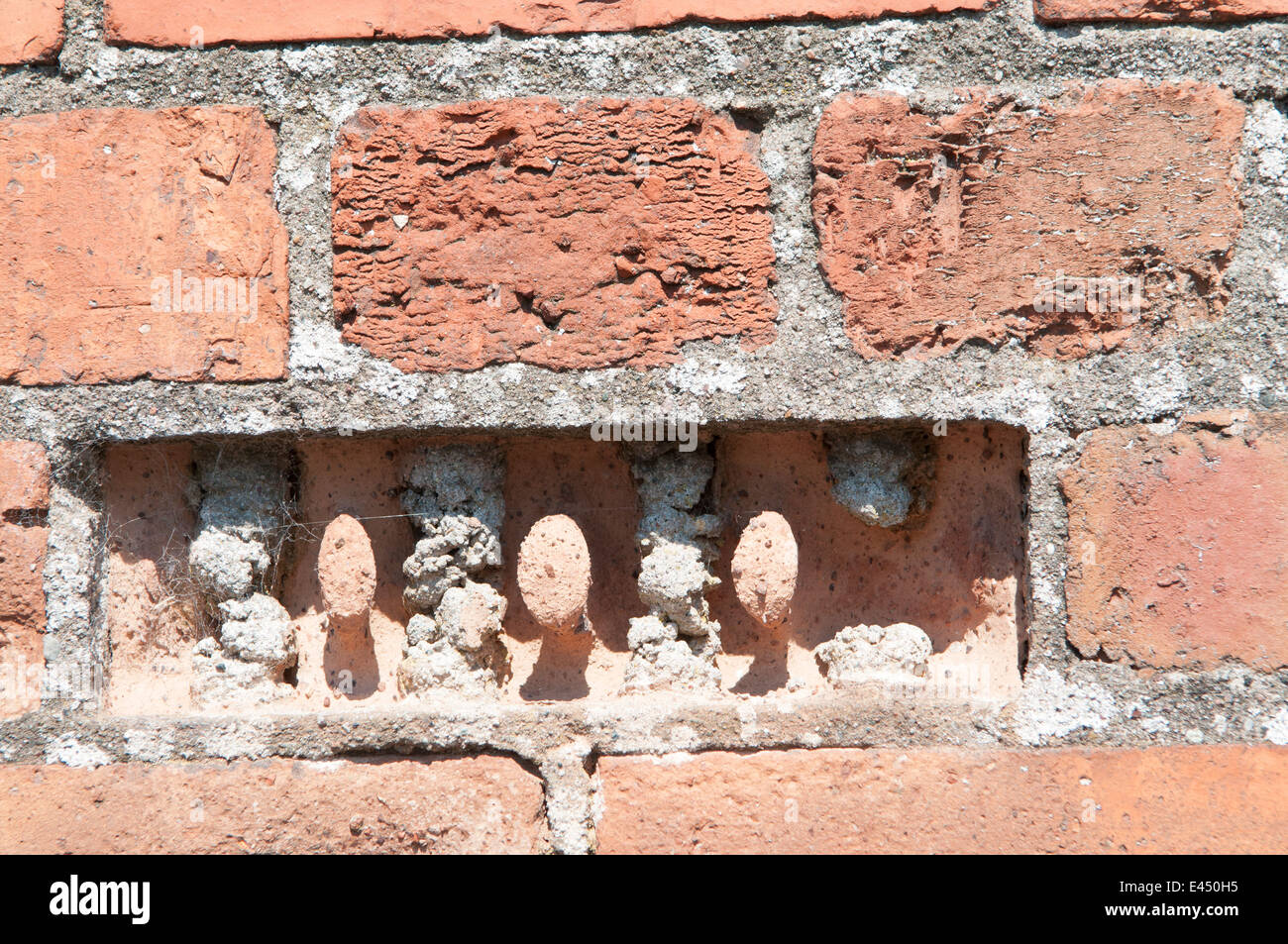 Un régime très altérés et érodé brique dans un mur. Banque D'Images