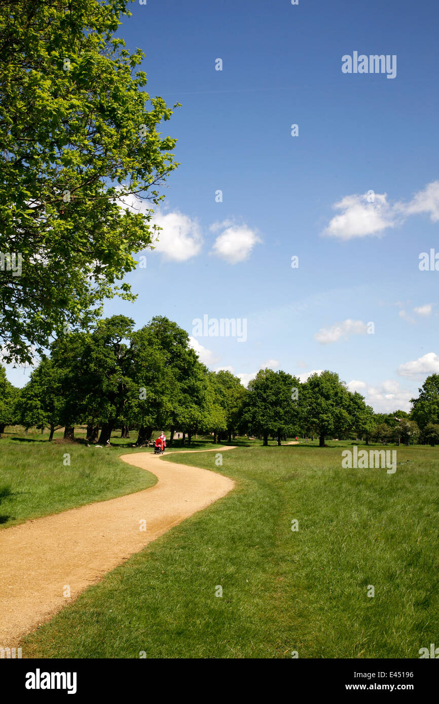 Tamsin Trail à Richmond Park, London, UK Banque D'Images