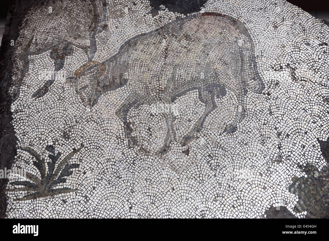 Grand Palais Musée de la mosaïque. 4e-6e siècles. Détail d'une mosaïque représentant un mouton. Le sud-ouest de hall. Istanbul. La Turquie. Banque D'Images
