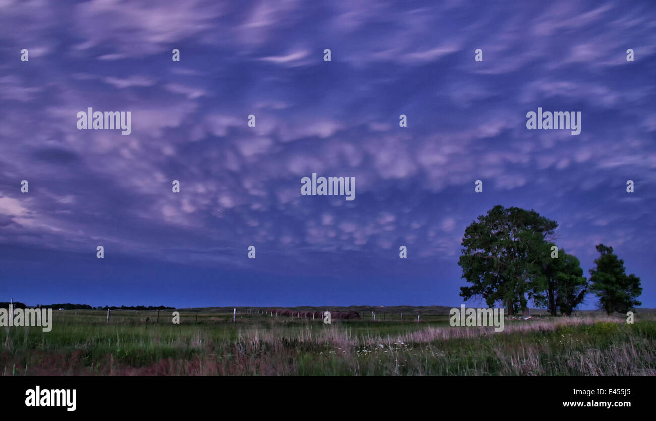 Les nuages Mammatus dangle de l'enclume de cette supercellular tempête, Faucett, Missouri, États-Unis Banque D'Images