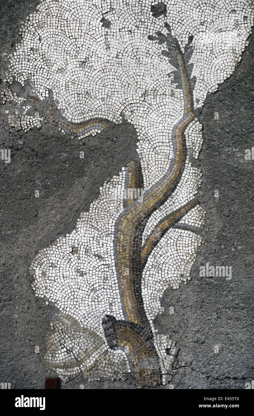 Grand Palais Musée de la mosaïque. 4e-6e siècles. Détail d'une mosaïque représentant la branche d'un arbre. Istanbul. La Turquie. Banque D'Images