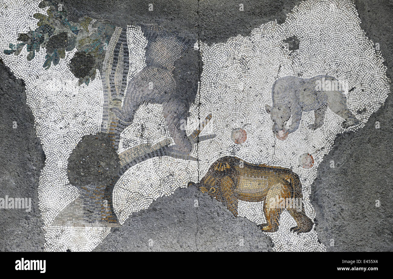 Grand Palais Musée de la mosaïque. 4e-6e siècles. Détail d'une mosaïque représentant une famille d'ours sous un pommier. Istanbul. La Turquie Banque D'Images