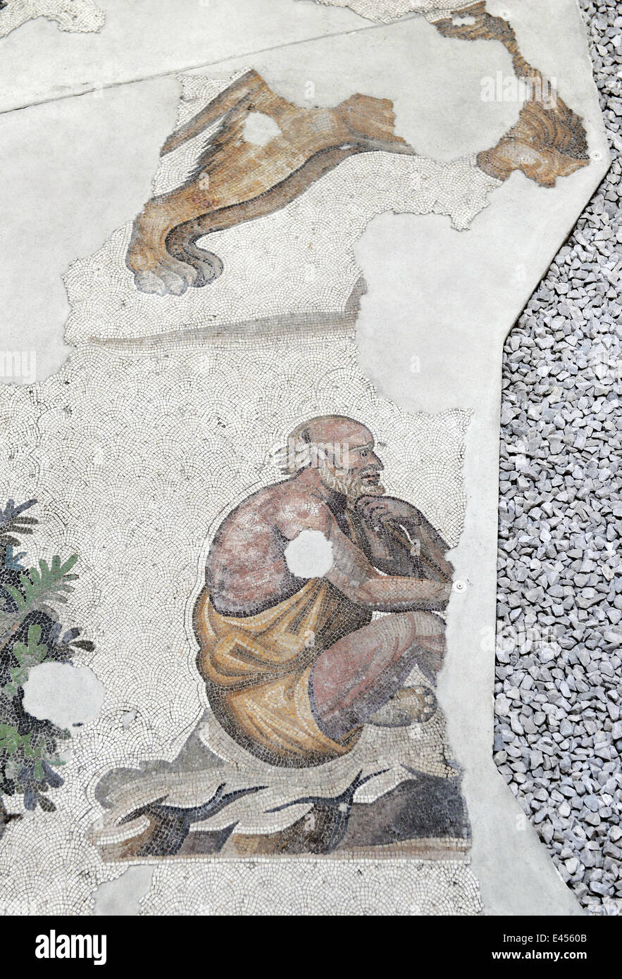 Grand Palais Musée de la mosaïque. 4e-6e siècles. Détail d'une mosaïque représentant un homme âgé. Istanbul. La Turquie. Banque D'Images