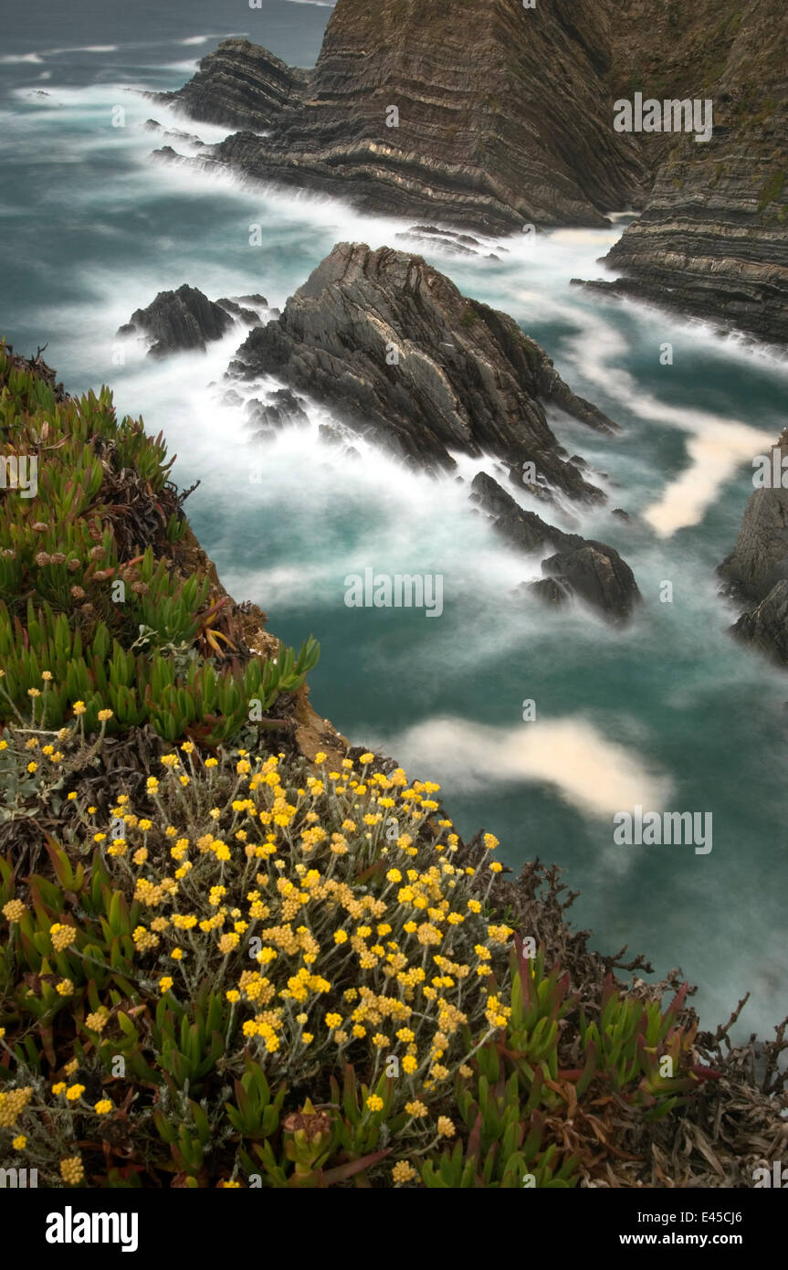 Vue depuis les falaises, Cabo Sardão (CAP) de l'Alentejo, Parc Naturel du Sud Ouest Alentejano et Costa Vicentina, Portugal, Juin 2009 Banque D'Images