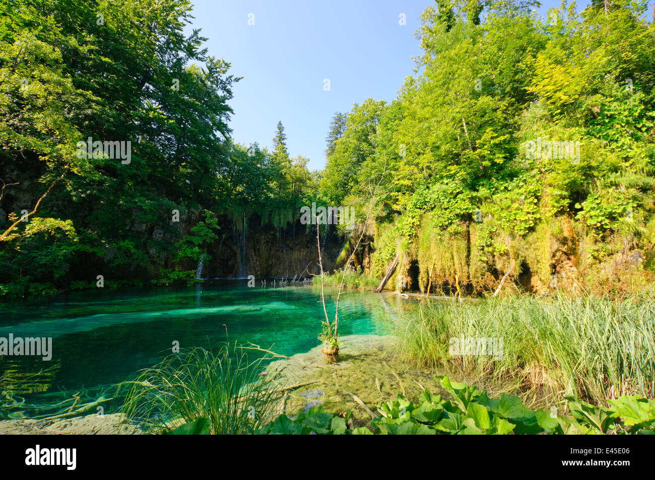 Le parc national des Lacs de Plitvice, Croatie Banque D'Images