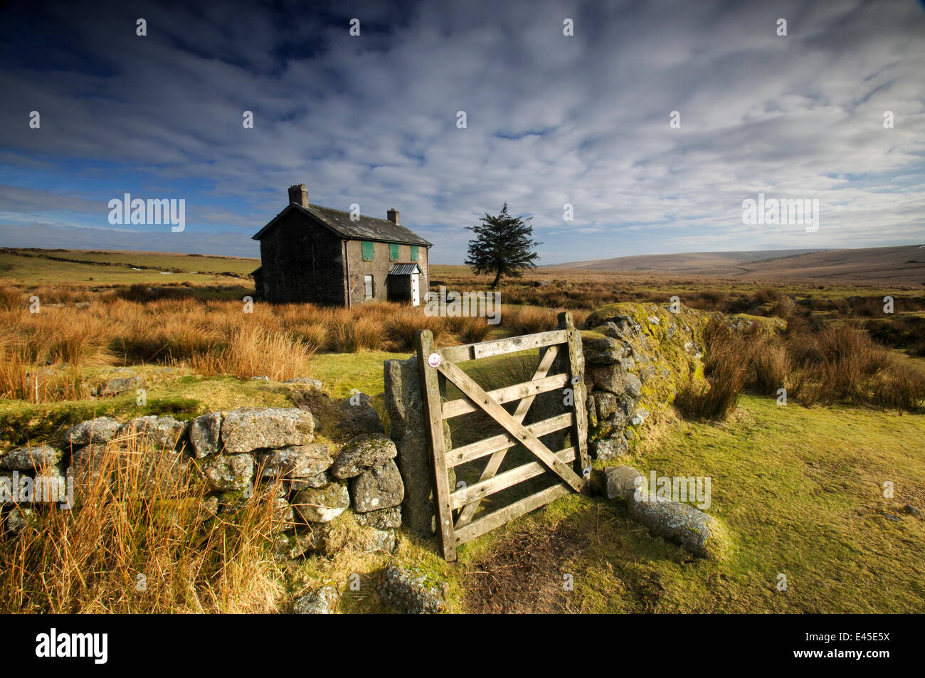 Vue de Nun Moorland's Cross, ferme la porte et mur en pierre sèche, Dartmoor, Devon, UK. Février 2009. Banque D'Images