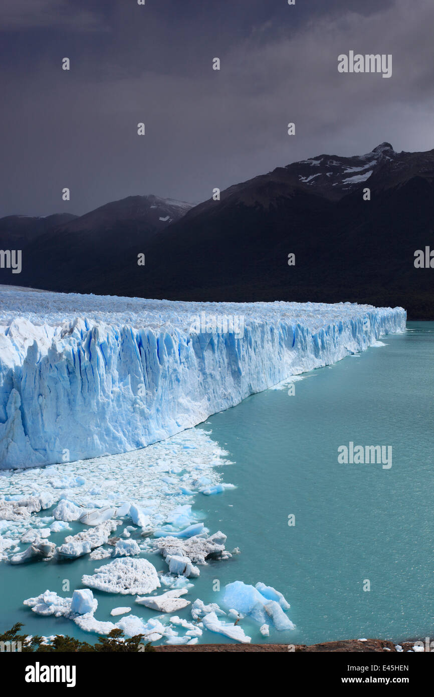 Le glacier Perito Moreno, le Parc National Los Glaciares, Argentine Février 2009 Banque D'Images